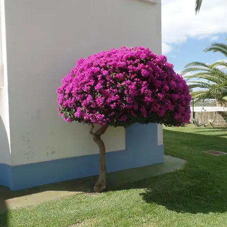 Lovely With Pool In Cabanas De Tavira
